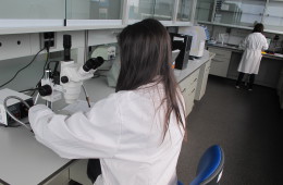 Intropharma laboratory's at Salamanca